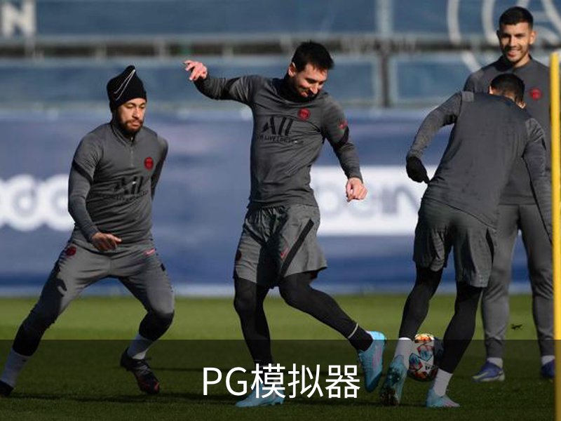 PG模拟器概况
